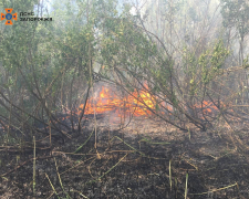 Бережіть природу – рятувальники за минулу добу загасили дві пожежі в екосистемах