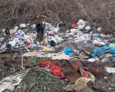 У Запоріжжі поблизу річки виявили сміттєзвалище – міська влада має навести лад