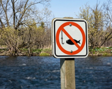 У Запорізькій області діятиме заборона та обмеження на вилов риби: що треба знати