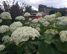 Запоріжжя, фото Світлани Олійник