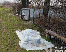 У Запорізькій області під час ворожого артобстрілу загинула літня жінка