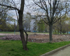 Звалище біля спортмайданчика - в одному з районів Запоріжжя утворилося &quot;сміттєве поле&quot; (фото)
