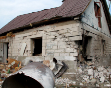 Порятунок під звуки вибухів: з прифронтової Комишувахи евакуювали коней (відео)