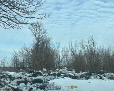 Сміттєвий пагорб на узбіччі: у Запорізькій області екологи зафіксували стихійне звалище