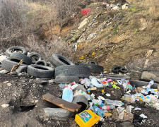 Небезпечне місце - у спальному районі Запоріжжя виявили масштабне сміттєзвалище (фото)