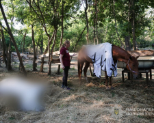 Внаслідок ворожої атаки КАБів у Запоріжжі загинули коні, яких евакуювали з Комишуваської громади (фото)