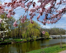 Прогноз погоди у Запоріжжі на 16-17 квітня