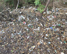 У Хортицькому районі Запоріжжя виявили незаконне сміттєзвалище