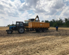 Війна, спека, сарана - як аграрії Запоріжжя борються за врожай у 2025 році