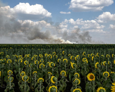 Світлина запорізького фотографа про контрасти війни стала однією з найкращих у світі в 2025 році