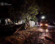 Запорізька сім&#039;я дивом вижила - після влучання дрону їхній будинок перетворився на руїни (відео)