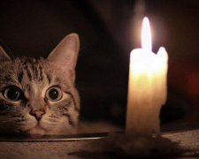 Весь день без світла - де у Запоріжжі відключатимуть електроенергію 8 грудня