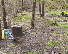 У запорізькому сквері виявили купи незаконного сміття (фото)