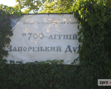 Історико-культурного комплексу "700-річний Запорізький дуб", фото Світлани Олійник
