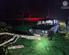 У Запоріжжі п&#039;яний водій збив дерево - що ще вражає у цій ситуації