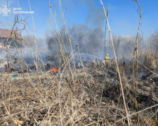 Сонце, вітер і суха трава: на Запоріжжі за добу спалахнуло понад десять пожеж на природі