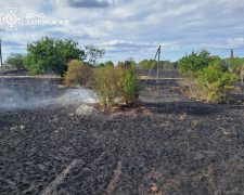 Дачі в полум’ї - на Запоріжжі під час пожежі загинула жінка (фото)