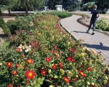 Яка погода очікується у Запоріжжі в кінці робочого тижня - прогноз