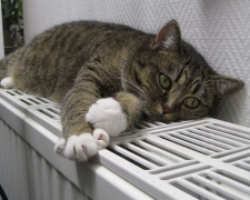 Частина житлових будинків у Запоріжжі залишається без опалення - що відомо 