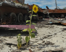 Повномасштабна війна завдала екології України мільярдних збитків