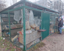 У спальному районі Запоріжжя прибрали незаконний овочевий кіоск - фото