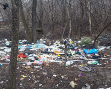 Гори медичних та побутових відходів - поряд із запорізьким університетом утворилося звалище сміття (фото)