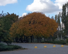 Якою буде погода в останні вихідні жовтня у Запоріжжі - прогноз