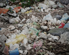 У Заводському районі виявили стихійні звалища побутових та рослинних відходів