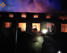 У Запорізькому районі сталась масштабна пожежа у фермерському господарстві - фото