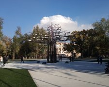 У Запоріжжі планують розбудову меморіалу «Посадка. Дерево пам’яті» - як проходило обговорення