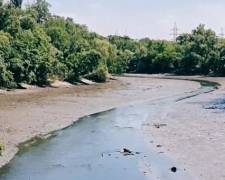 Сміття та повалені дерева: у Запоріжжі почали розчищати русло річки - відео