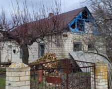 "Собака-усмішка": під час евакуації з Різдвянки волонтери врятували пса і знайшли йому родину (відео)