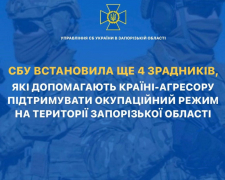 Добровільно підтримали окупантів: СБУ встановила ще чотирьох зрадників-кар&#039;єристів у Запорізькій області - подробиці