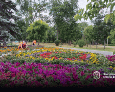 Головний парк Запоріжжя зустрічає відвідувачів доглянутими клумбами з красивими квітами - фото