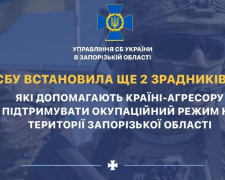 У Запорізькій області окупанти призначили сторожа старостою села: історія зради