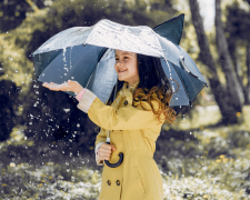 Осіння погода у Запоріжжі 15-16 листопада  - тумани, багряне листя та коливання температур