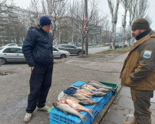 У Запоріжжі в посиленому режимі перевіряють місця продажу риби – подробиці