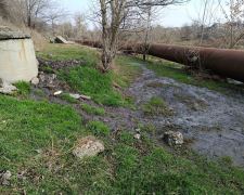 Поблизу річки у Запоріжжі стався виток каналізаційних стоків - на місце виїхали екологи