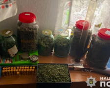 Запорожець зберігав вдома наркотики на 700 тисяч гривень та рушницю