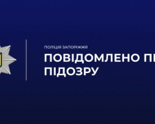 У Запорізькій області поліцейські застали крадія кабелю «на гарячому»