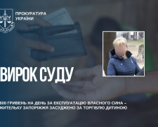 Мешканка Запоріжжя, яка використовувала 12-річного сина для жебракування, а потім передала його стороннім людям за щоденну плату, отримала вирок суду.