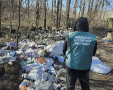Екологи під час перевірки забруднення повітря у Заводському районі натрапили на сміттєзвалище