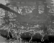 &quot;За Тернопіль та Запоріжжя!&quot; - на Запорізькому напрямку бійці 118-ї ОМБР знищили колону техніки окупантів (відео)