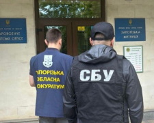 Зливав дані митниці за гроші: у Запоріжжі викрили посадовця (фото)