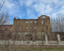 Паровий млин Гєйна в селищі Тернувате Запорізького району. Фото: ГО "Гуляйпільські старожитності"
