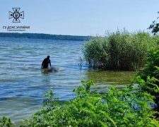 Пішов рибалити й не повернувся: у Запорізькому районі потонув чоловік - фото