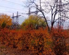 Тепло й без дощу - прогноз погоди у Запоріжжі на 6–7 листопада