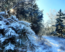 Снігові пейзажі та місцеві жителі Хортиці – біолог показав, як виглядає острів після зимових хуртовин (фото)