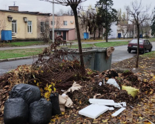 Краєвид на смітник - у Запоріжжі виявили стихійне звалище просто неба (фото)