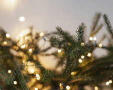 Новий рік та Різдво - чи будуть в запоріжців вихідні на свята